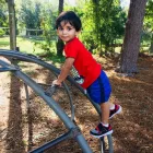 Business 3 image MONTESSORI HOUSE DAY SCHOOL - TOWN 'N' COUNTRY Private Schools in Tampa FL