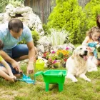 Business 1 image MOSQUITONIX ORLANDO in Orlando FL