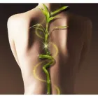 Business 6 image MOYER TOTAL WELLNESS Personal Care Services in Denver CO