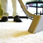 Business 1 image MR. STEAMER CARPET & FLOOR CLEANER Floor Cleaning in Tampa FL