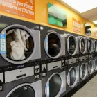 Business 3 image MY SUNNY LAUNDRY Laundry in Florida FL