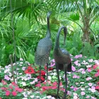 Business 2 image NATURE TOUCH INC Landscaping & Lawn Services in Miami FL