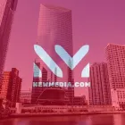 Business 1 image NEWMEDIA | MIAMI SEO & WEB DESIGN Web Design & Development in Miami FL