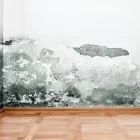 Business 2 image NICESERV REPAIRS Water Damage Restoration in Orlando FL