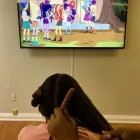 Business 8 image ORANGE CROSS LICE REMOVAL in North Miami FL