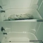 Business 3 image ORCHID CLEANING SERVICE House Cleaning in Winter Haven FL