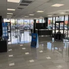 Business 24 image ORLANDO PREOWNED in Orlando FL