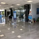 Business 25 image ORLANDO PREOWNED in Orlando FL