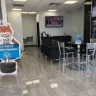 Business 31 image ORLANDO PREOWNED in Orlando FL