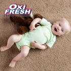 Business 4 image OXI FRESH CARPET CLEANING Upholstery Cleaning Service in Orlando FL