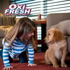 Business 10 image OXI FRESH CARPET CLEANING Upholstery Cleaning Service in Orlando FL