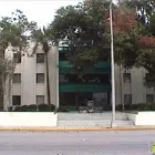 Business 1 image PACIFIC POOLS OF ORLANDO Swimming Pool Repair & Service in Orlando FL