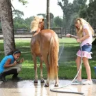 Business 2 image PAINTED OAKS ACADEMY Youth Camps in Orlando FL