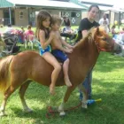 Business 6 image PAINTED OAKS ACADEMY Youth Camps in Orlando FL