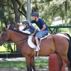 Business 7 image PAINTED OAKS ACADEMY Youth Camps in Orlando FL