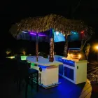 Business 32 image PARADISE GRILLS Outdoor Furniture Store in Tampa FL