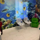 Business 7 image PEDIATRICS AND FAMILY CARE in Orlando FL