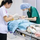 Business 3 image PET MED ANIMAL CLINIC in Miami FL