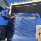 Business 3 image PETE'S ULTIMATE MOVERS Moving Services in Temple Terrace FL