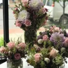 Business 1 image PETRICHOR FLORA Plant Nurseries & Garden Centers in Buffalo NY