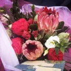 Business 2 image PETRICHOR FLORA Plant Nurseries & Garden Centers in Buffalo NY
