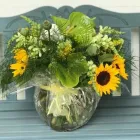 Business 3 image PETRICHOR FLORA Plant Nurseries & Garden Centers in Buffalo NY
