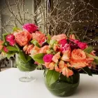 Business 4 image PETRICHOR FLORA Plant Nurseries & Garden Centers in Buffalo NY