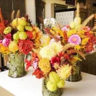 Business 5 image PETRICHOR FLORA Plant Nurseries & Garden Centers in Buffalo NY