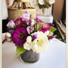 Business 6 image PETRICHOR FLORA Plant Nurseries & Garden Centers in Buffalo NY