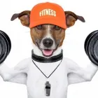 Business 2 image PETS ZONE Pet Supplies in Los Angeles CA