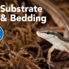 Business 6 image PETSMART Tropical Fish in Tampa FL