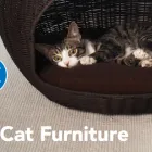 Business 7 image PETSMART Tropical Fish in Tampa FL