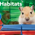 Business 2 image PETSMART Tropical Fish in Tampa FL