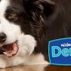 Business 4 image PETSMART PetSmart in Tampa FL