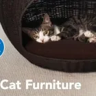 Business 1 image PETSMART PetSmart in Ocoee FL