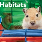 Business 2 image PETSMART PetSmart in Ocoee FL