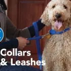 Business 4 image PETSMART PetSmart in Ocoee FL