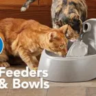 Business 8 image PETSMART PetSmart in Ocoee FL