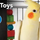 Business 4 image PETSMART Tropical Fish in Tampa FL