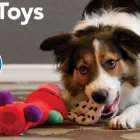 Business 3 image PETSMART Tropical Fish in Tampa FL