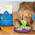 Business 6 image PETSMART Tropical Fish in Tampa FL