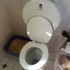 Business 7 image PHOENIX PLUMBER - EMERGENCY PLUMBING CONTRACTOR Plumbers in Phoenix AZ