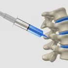 Business 1 image PHYSICIAN GROUP LLC Health in Tampa FL