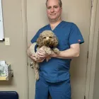 Business 2 image PINNACLE CHIROPRACTIC Chiropractors in Phoenix AZ