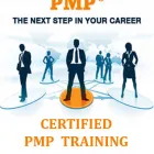 Business 1 image PMP BOOTCAMP IN TAMPA Special Education in Tampa FL