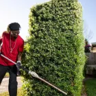 Business 2 image PREMIER LAWNSCAPING Lawn Mowers in Orlando FL