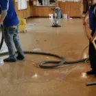 Business 2 image PREMIER SAN DIEGO WATER DAMAGE & RESTORATION Water Damage Removal in San Diego CA