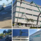 Business 1 image PROCLEAN PRESSURE WASHING PALM HARBOR Pressure Cleaning in Palm Harbor FL