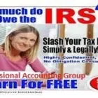 Business 4 image PROFESSIONAL ACCOUNTING GROUP, LLC in Orlando FL