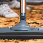 Business 1 image PROFESSIONAL CARPET & RUG CLEANING Cleaning Services in New York NY
